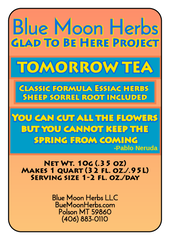 Glad To Be Here Mini Essiac Book and Tea Kit